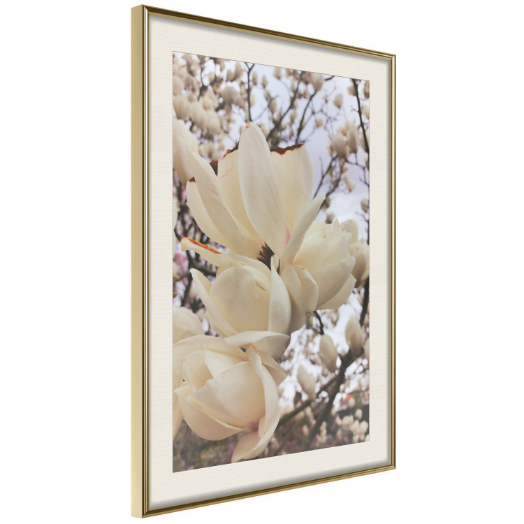 Plakat Złociste magnolie [Poster] 137001 additionalImage 19