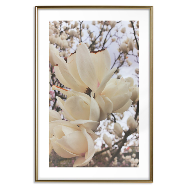 Plakat Złociste magnolie [Poster] 137001 additionalImage 4
