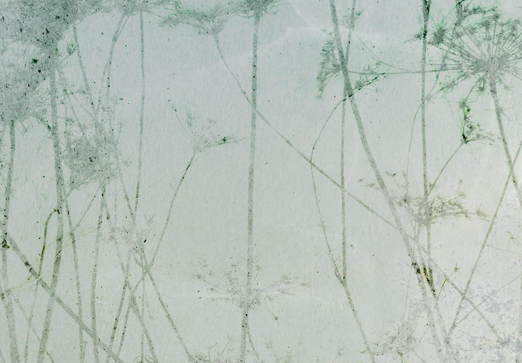 Obraz w kształcie koła Stara fotografia - wysokie suche trawy w stonowanych zieleniach 148701 additionalImage 3