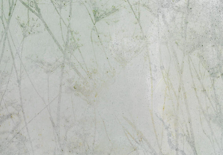 Obraz w kształcie koła Stara fotografia - wysokie suche trawy w stonowanych zieleniach 148701 additionalImage 2
