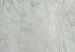 Obraz w kształcie koła Stara fotografia - wysokie suche trawy w stonowanych zieleniach 148701 additionalThumb 2