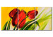 Obraz Tulipany na wiosennym wietrze (3-częściowy) - motyw czerwonych kwiatów 47401