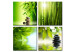 Obraz na szkle Zielony zen [Glass] 92801 additionalThumb 2