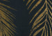 Fototapeta Tropikalna natura - roślinny motyw złotych palm na granatowym tle 138211 additionalThumb 3