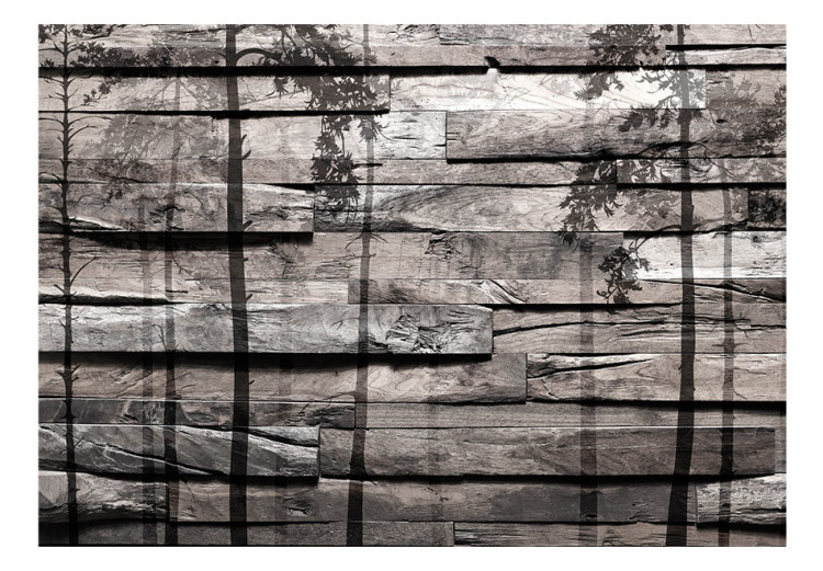 Fototapeta Cień natury - deseń w szare deski z padającym cieniem wysokich drzew 63911 additionalImage 1