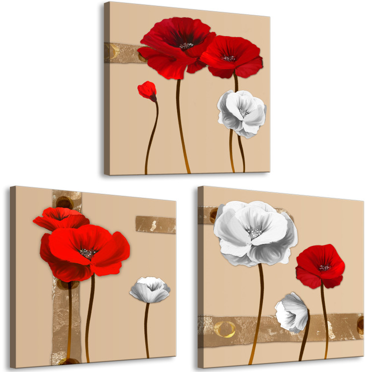 Obraz Białe i czerwone maki - tryptyk z kwiatami na brązowym tle 128831 additionalImage 2