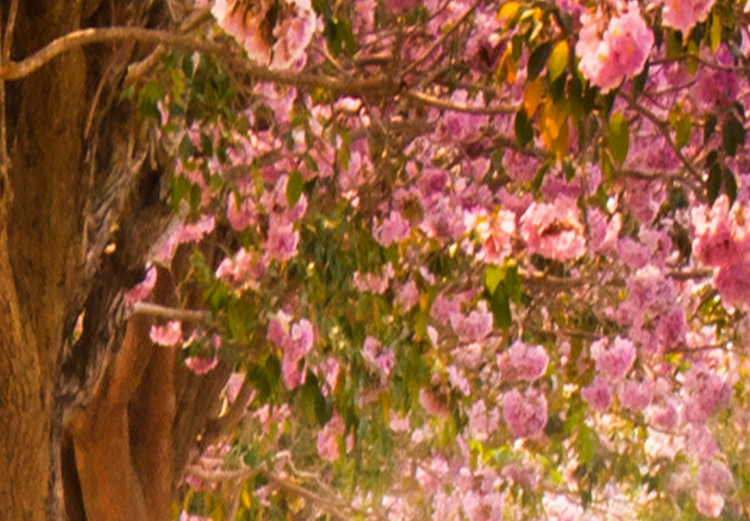 Okrągły obraz Leśna alejka - zdjęcie drzew z różowymi liśćmi w świetle słońca 148631 additionalImage 3