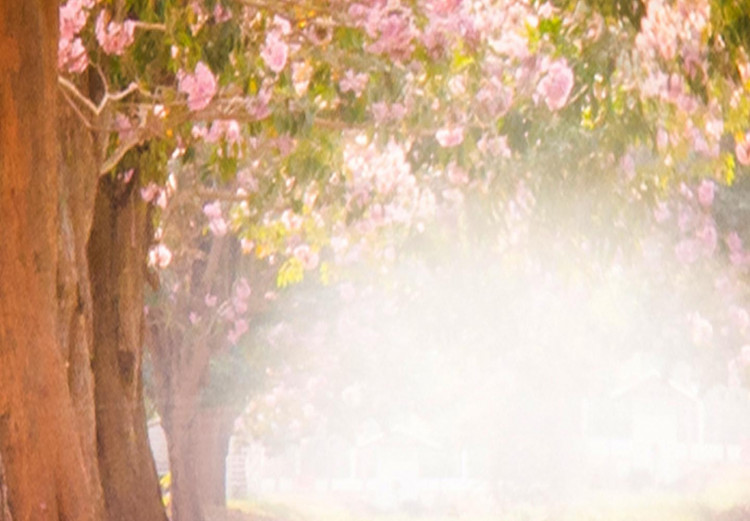 Okrągły obraz Leśna alejka - zdjęcie drzew z różowymi liśćmi w świetle słońca 148631 additionalImage 2