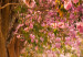 Okrągły obraz Leśna alejka - zdjęcie drzew z różowymi liśćmi w świetle słońca 148631 additionalThumb 3