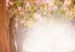 Okrągły obraz Leśna alejka - zdjęcie drzew z różowymi liśćmi w świetle słońca 148631 additionalThumb 2