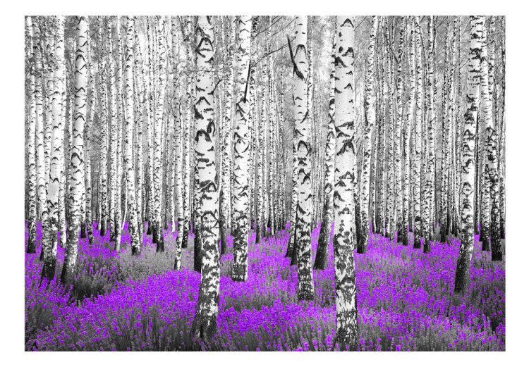 Fototapeta Purpurowy azyl - pejzaż z lasem wysokich drzew z kolorowym akcentem 60531 additionalImage 1