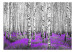 Fototapeta Purpurowy azyl - pejzaż z lasem wysokich drzew z kolorowym akcentem 60531 additionalThumb 1