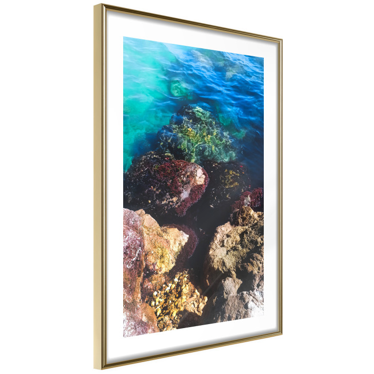 Plakat Skalisty brzeg morza - zdjęcie barwnych kamieni i błękitnej wody 146241 additionalImage 11