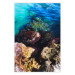 Plakat Skalisty brzeg morza - zdjęcie barwnych kamieni i błękitnej wody 146241