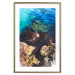 Plakat Skalisty brzeg morza - zdjęcie barwnych kamieni i błękitnej wody 146241 additionalThumb 25