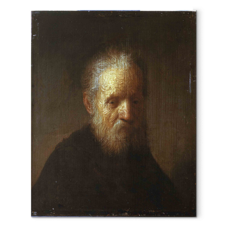 Reprodukcja obrazu Portrait of an old man 158441