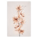 Plakat Akwarelowe kwiaty - delikatna gałązka boho w ciepłych kolorach sepii 144351