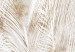 Fototapeta Pozłacane pióra - delikatny rysunek natury w stylu boho 147651 additionalThumb 3