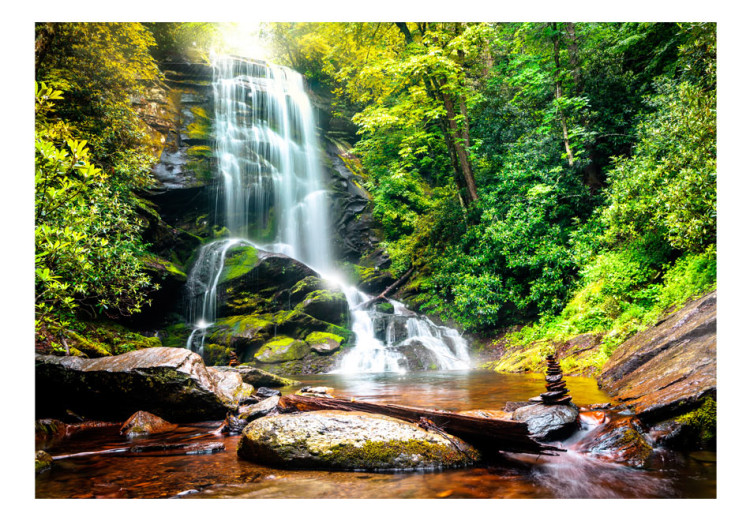 Fototapeta Cud natury - pejzaż wodospadu spływającego po skałach w środku lasu 60061 additionalImage 1