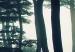 Obraz Mroczny las (5-częściowy) wąski 107771 additionalThumb 5