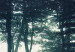 Obraz Mroczny las (5-częściowy) wąski 107771 additionalThumb 4