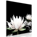 Obraz Kwiaty lotosu (1-częściowy) kwadrat 121871 additionalThumb 2