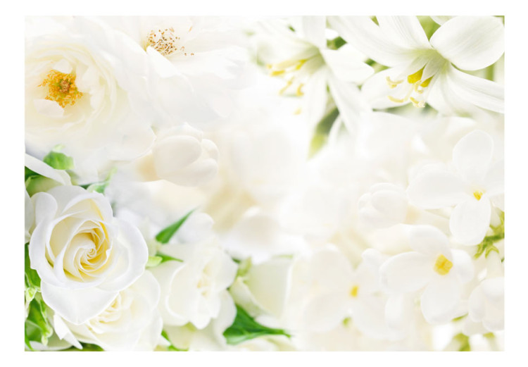 Fototapeta Białe westchnienie - natura z delikatnym motywem kwiatowym róż i lilii 96691 additionalImage 1