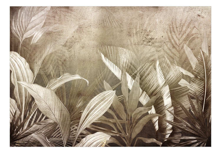 Fototapeta Kompozycja z liści – abstrakcja z liśćmi w odcieniach szarości i brązu 142302 additionalImage 1