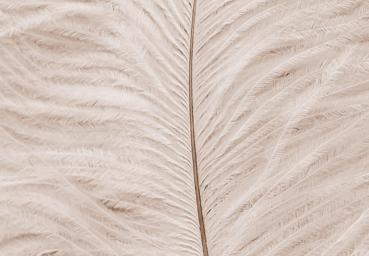 Obraz Białe pióro na beżowym blacie - kompozycja w stylu scandi boho 136512 additionalImage 5