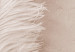 Obraz Białe pióro na beżowym blacie - kompozycja w stylu scandi boho 136512 additionalThumb 4