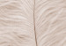 Obraz Białe pióro na beżowym blacie - kompozycja w stylu scandi boho 136512 additionalThumb 5