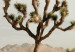 Fototapeta Różowy, amerykański klasyk - fotografia pustyni z samochodem i górami 136322 additionalThumb 4