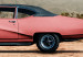 Fototapeta Różowy, amerykański klasyk - fotografia pustyni z samochodem i górami 136322 additionalThumb 3
