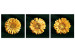 Obraz Złote słoneczniki - tryptyk w stylu glamour ze złotymi kwiatami 132132