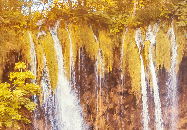 Obraz Wodospady słonecznego lasu 97732 additionalImage 4