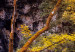 Obraz Wodospady słonecznego lasu 97732 additionalThumb 5