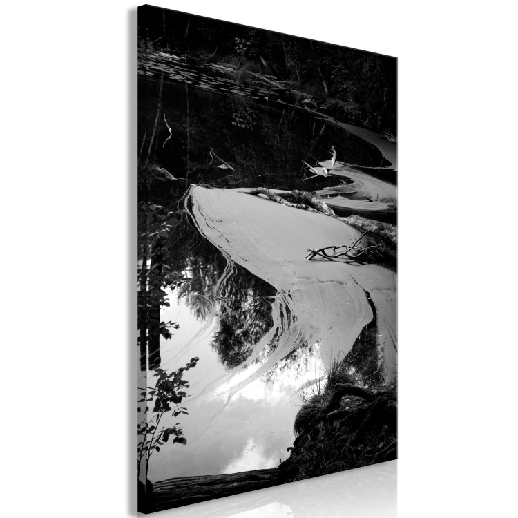 Obraz Staw - mroczny wodny pejzaż na czarno-białej fotografii 115042 additionalImage 2
