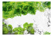 Fototapeta Kolory wiosny zielony - natura z roślinami i motylami na białym tle 60742 additionalThumb 1