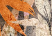 Fototapeta Rozproszona kolorystyka - barwna abstrakcja z egzotyczną roślinnością 135452 additionalThumb 3