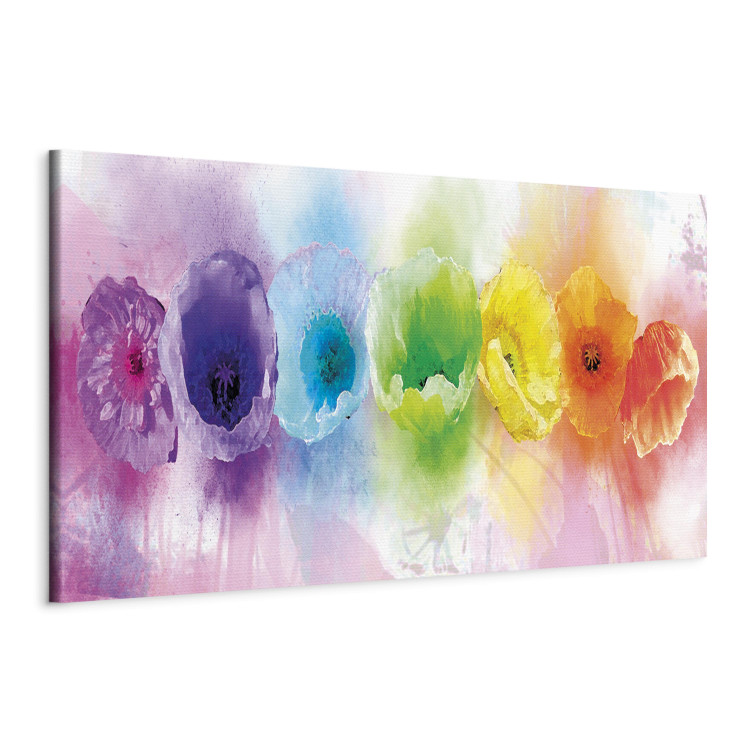 Obraz Rainbow-hued poppies 56162 additionalImage 2