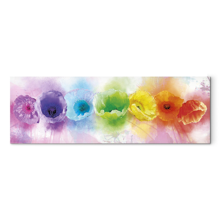 Obraz Rainbow-hued poppies 56162 additionalImage 7