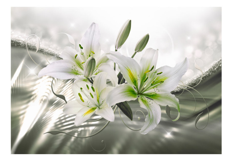 Fototapeta Piękno lilii - białe kwiaty na tle w zieleni z efektem blasku światła 93772 additionalImage 1
