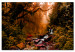 Obraz Jesienny wodospad 98192