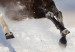 Fototapeta Konie w śniegu 108213 additionalThumb 3