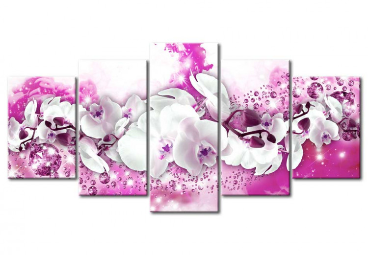 Obraz Przybycie różowego storczyka 64013