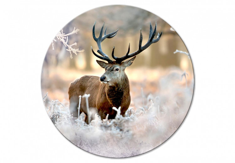 Okrągły obraz Król lasu - zdjęcie jelenia na tle zimowego lasu o poranku 148723