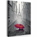 Obraz do malowania po numerach Paryż (Czerwona parasolka) 107333 additionalThumb 6