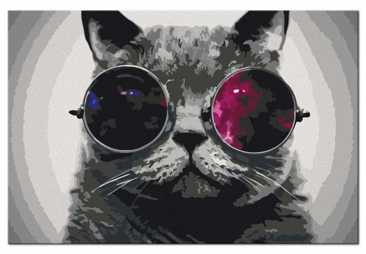 Obraz do malowania po numerach Kot w okularach 132033 additionalImage 6