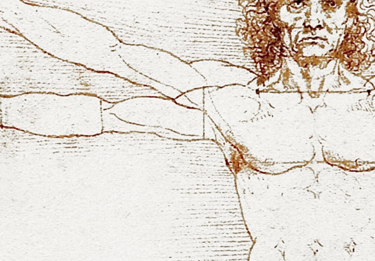 Obraz w kształcie koła Człowiek witruwiański Leonarda da Vinci - rysunek proporcji ciała mężczyzny 148733 additionalImage 3