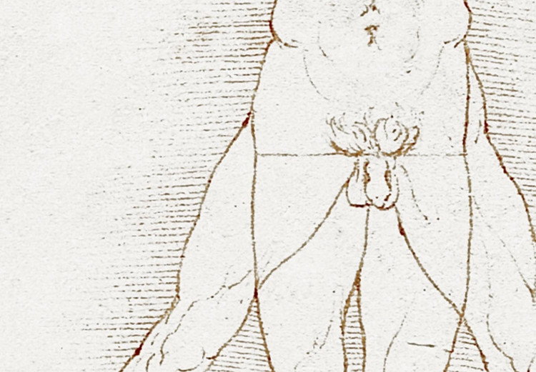 Obraz w kształcie koła Człowiek witruwiański Leonarda da Vinci - rysunek proporcji ciała mężczyzny 148733 additionalImage 2